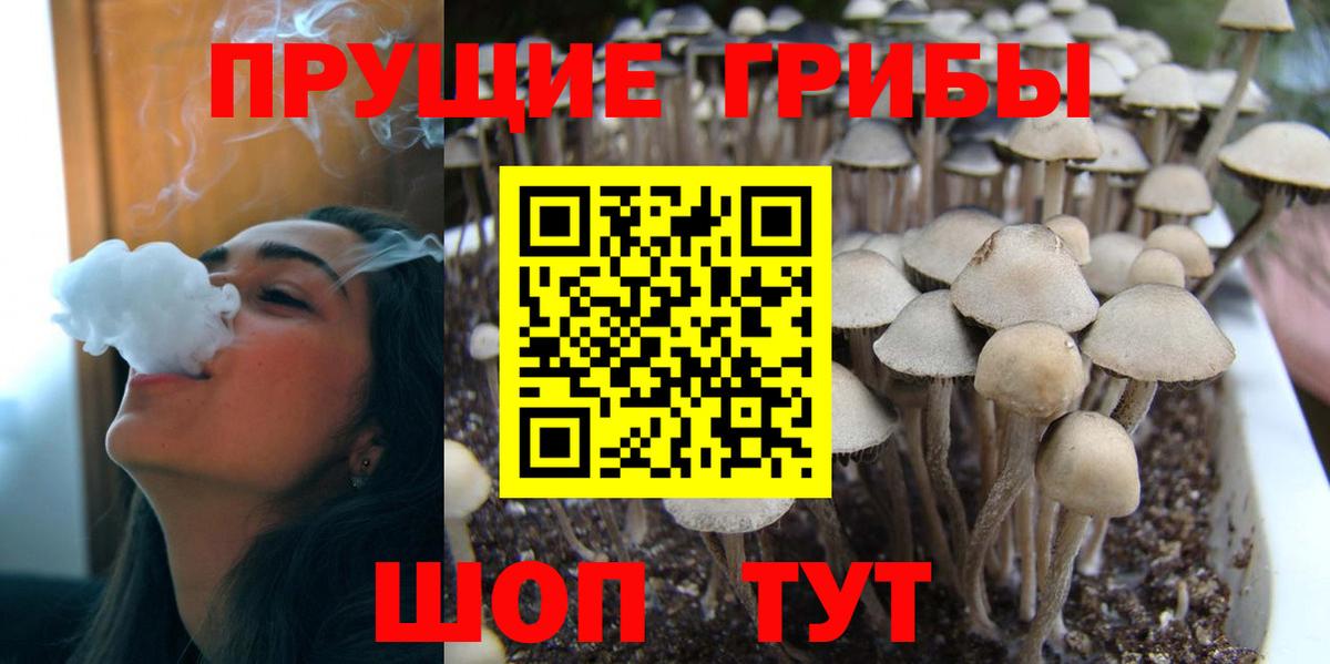 Псилоцибиновые грибы Psilocybine cubensis  Вход с VPN  что такое наркотик  Донской 